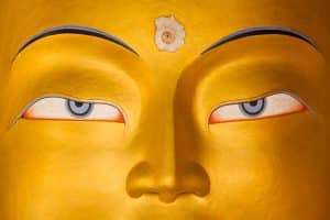 reincarnation - buddha