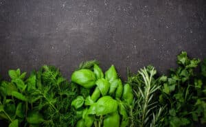 what you should know before taking herbal remedies